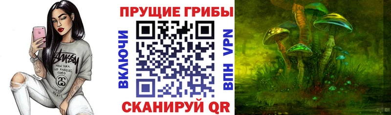 хочу Тотьма Галлюциногенные грибы прущие грибы